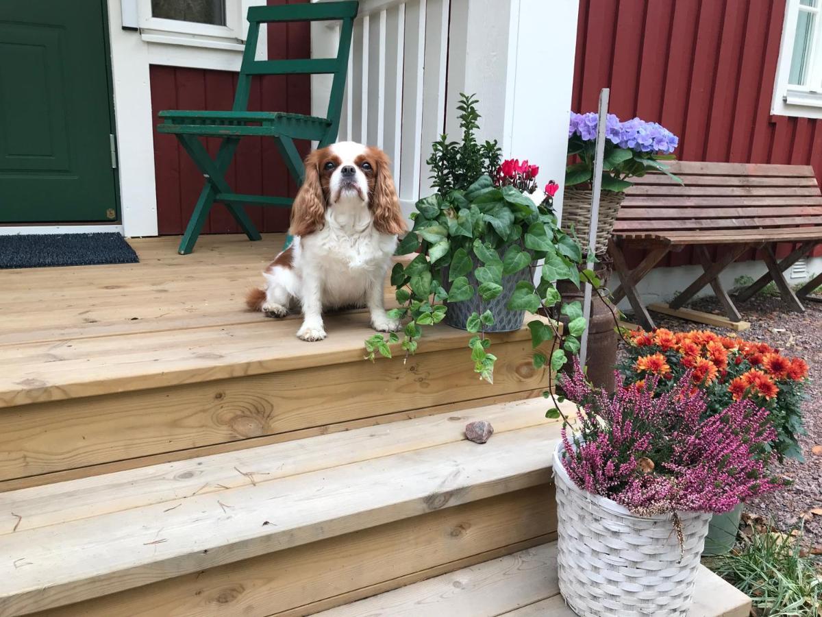 Villa Fryksta Kil エクステリア 写真